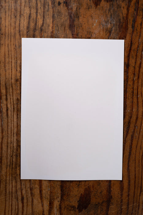 Beautiful Bride - Manor Borne Wall Paint