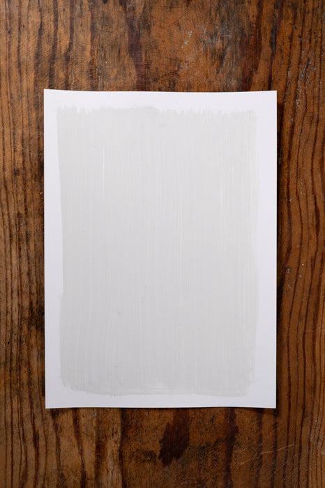 Snuggle Bunny - Manor Borne Wall Paint