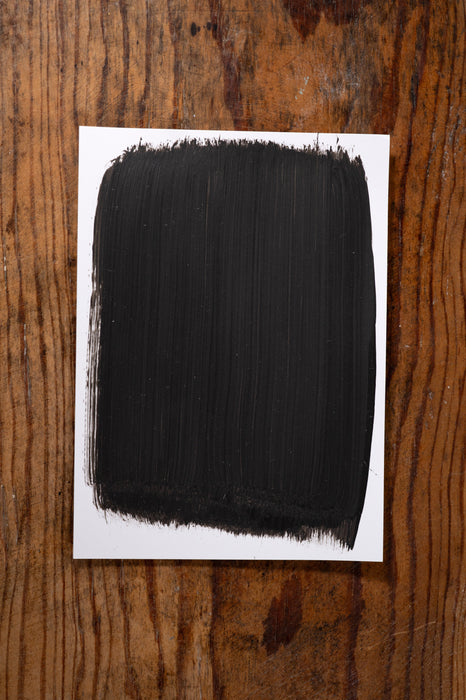 Girls Night Out - Manor Borne Wall Paint