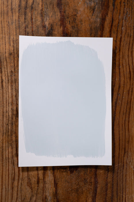 Birdie's Song - Manor Borne Wall Paint