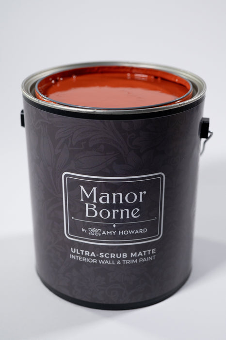 Sunset Engagement - Manor Borne Wall Paint