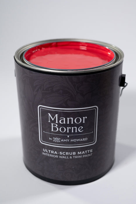 Dancing Shoes - Manor Borne Wall Paint