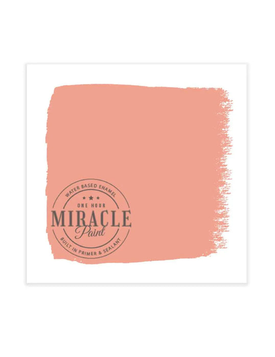 Miracle Paint Bundle