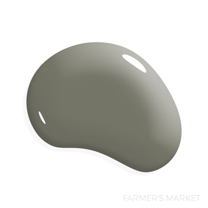 Manor Borne Wall Paint Bundle