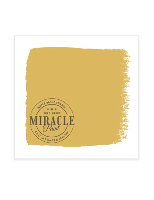 Miracle Paint Bundle