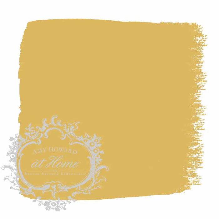 One Step Paint | Holey Moley