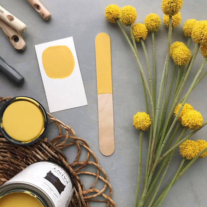 One Step Paint | Holey Moley