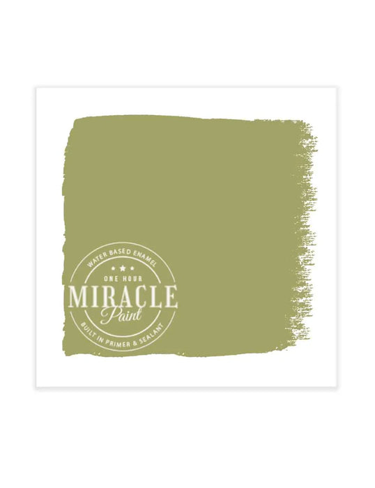 Miracle Paint Bundle