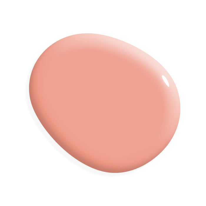 Miracle Paint - Coral (32 oz)