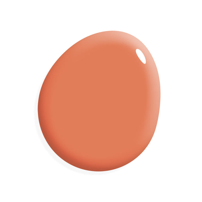 Miracle Paint - Massey Hill (32 oz.)