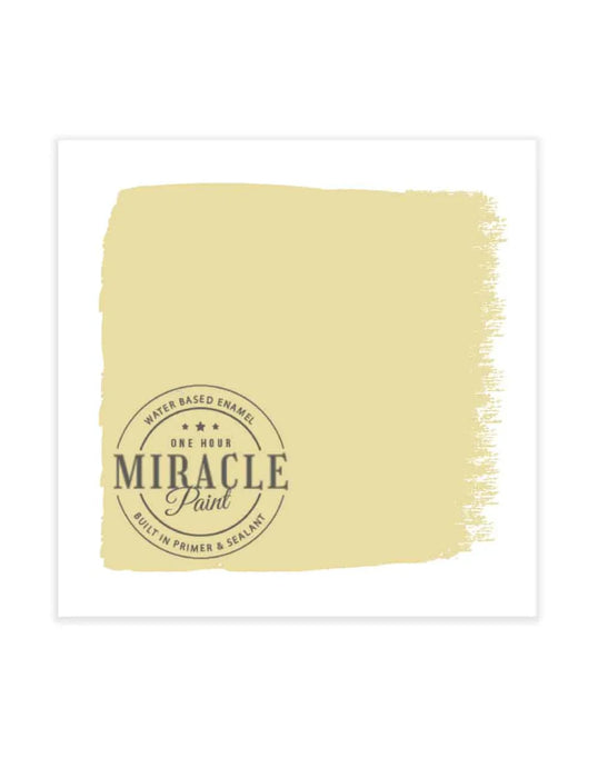 Miracle Paint Bundle