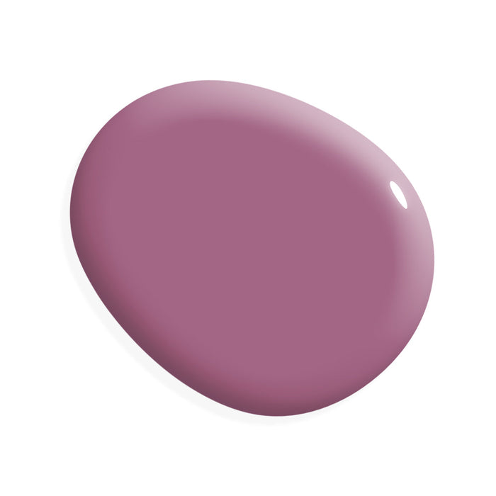 One Step Paint | Orchid
