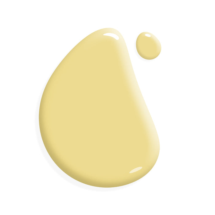 One Step Paint | Palm Beach