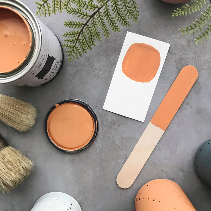 One Step Paint | Peachy Keen