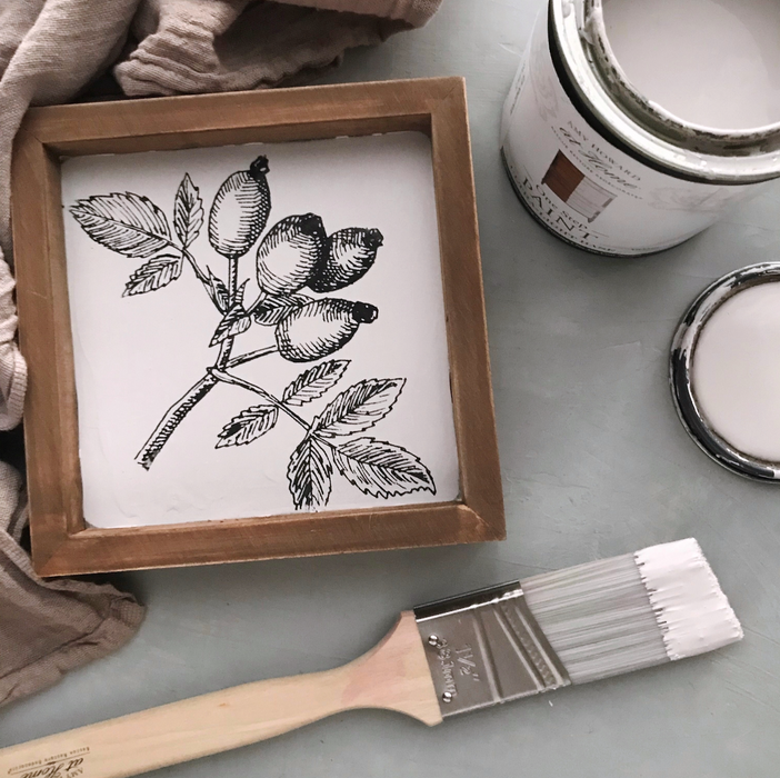 One Step Paint | Spa White