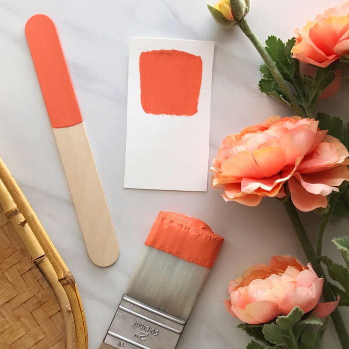 One Step Paint | Coral Sea