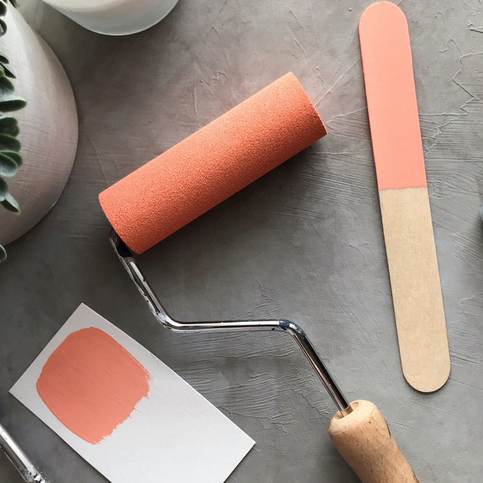 One Step Paint | Coral