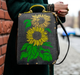 sunflower stencil