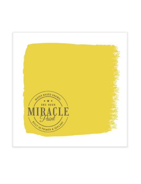 Miracle Paint Bundle