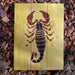 scorpio stencil
