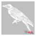 bird stencil