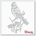 blue jay bird stencil