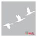 birds stencil