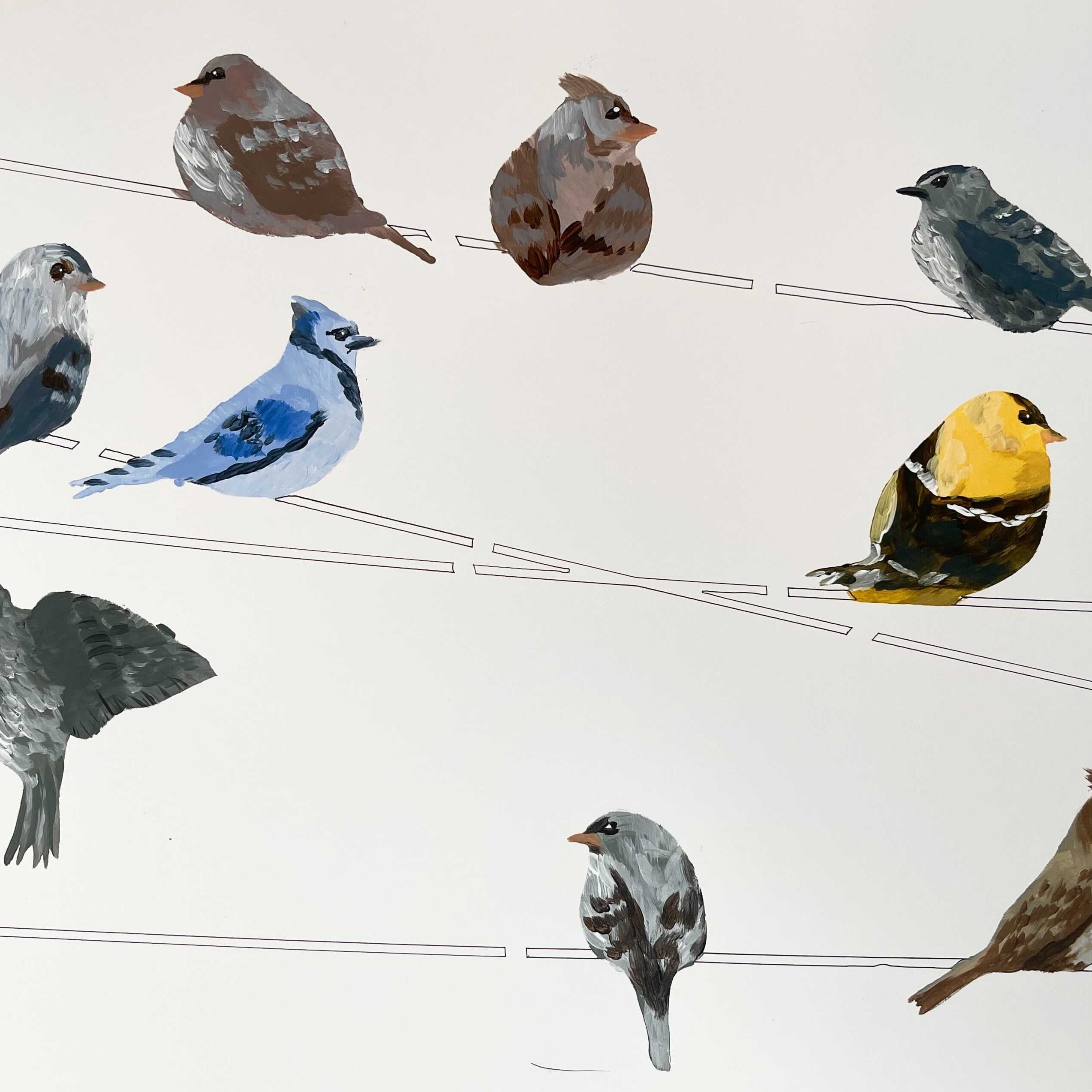 birds stencil