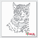 safari animal stencil
