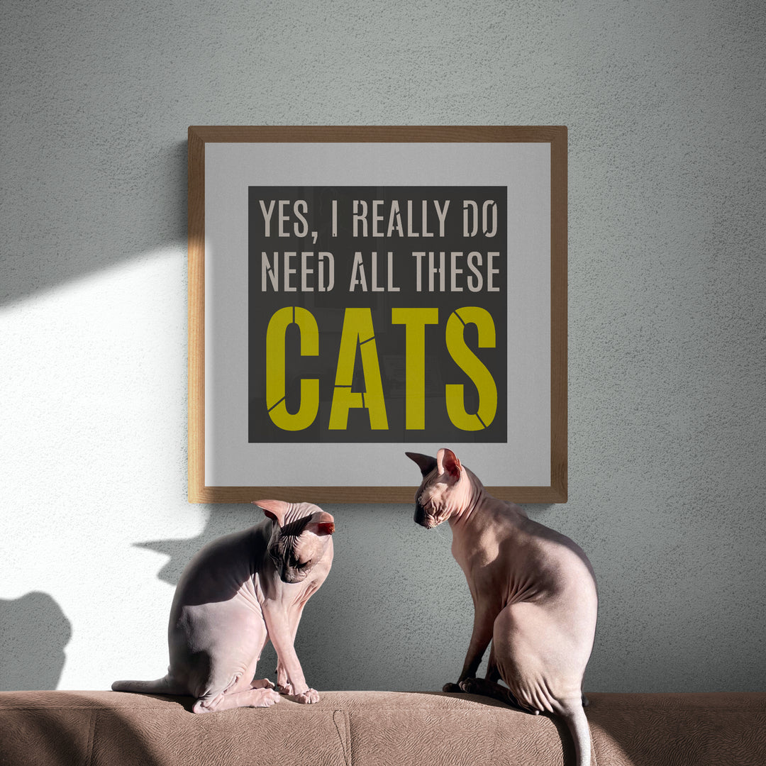 need all these cats stencil