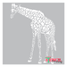 zoo animal stencil