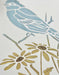 blue jay bird stencil